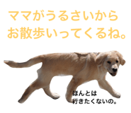 57680413