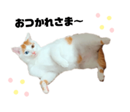 576835089