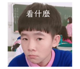 57684437