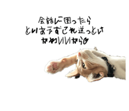 576872473