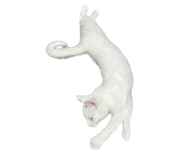 576892544