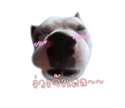 576919992