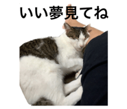 576936798