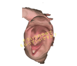 576954288