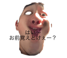 576954295