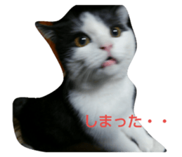 57695894