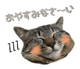576976831