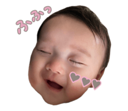 577004779