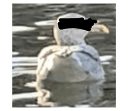 577015714