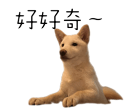 577027897