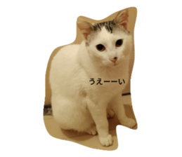 577041189