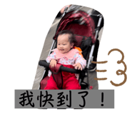 577051827
