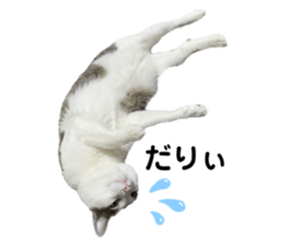 577055298