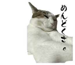 577055301
