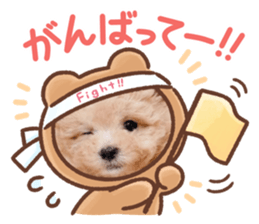 577136819