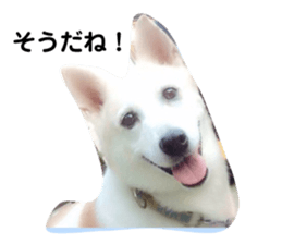 577182355