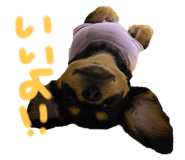 577189102
