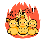 577254407