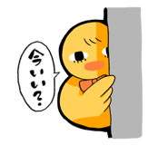 577254432