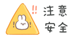 577262443