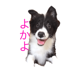577265222