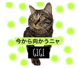 577280273