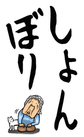 577304244