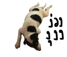 577459669