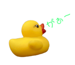 577503616
