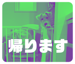 577512874