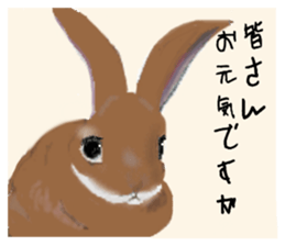 577533077