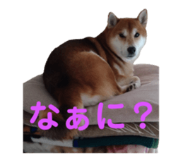 577538034
