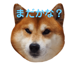 577538037