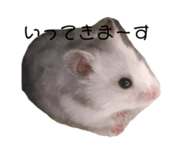 577571926