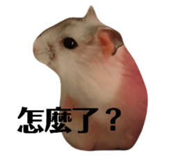577576353