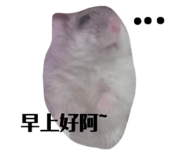 577576354