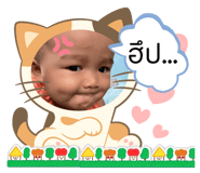 577582549
