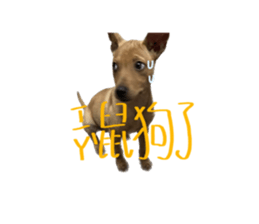 577608514
