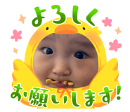577667681
