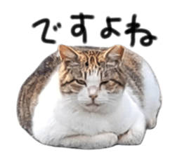 577673026