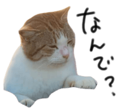 577673027
