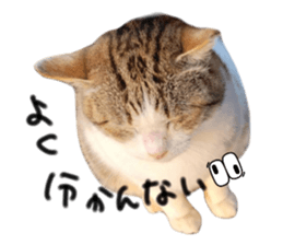 577673035