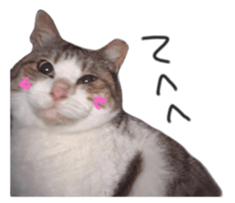 577673037