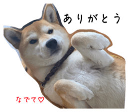 577673485
