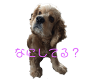 577673841