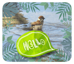 577674907