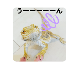 577676539
