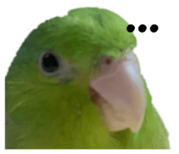 577731369