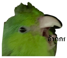 577731371