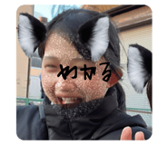 577786363
